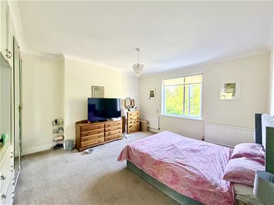 Picture 15